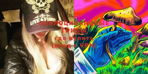 Альфа ПВП Алзамай